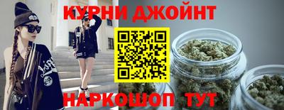 гидра Новодвинск