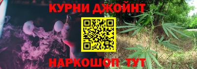 МДПВ Новокубанск