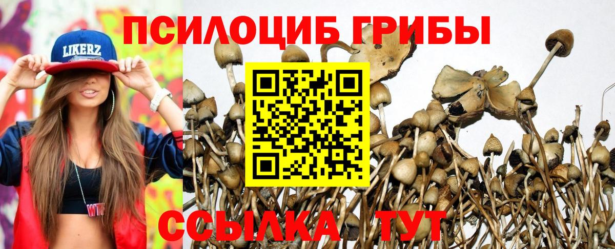 Псилоцибиновые грибы Psilocybe  Вход с VPN  Галлюциногенные грибы Magic Shrooms  Тула 